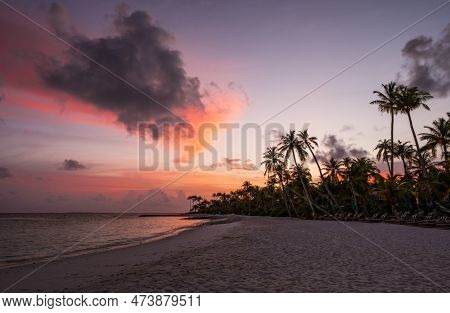 Palm Trees On Tropical Coast At Sunset. Crossroads Maldives, Saii Lagoon, June 2021.