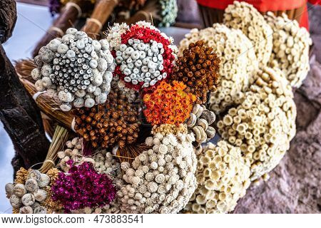 Small Bouquet Of Sempre-viva Flowers, Comanthera Mucugensis At Mucuge In The Chapada Diamantina Nati