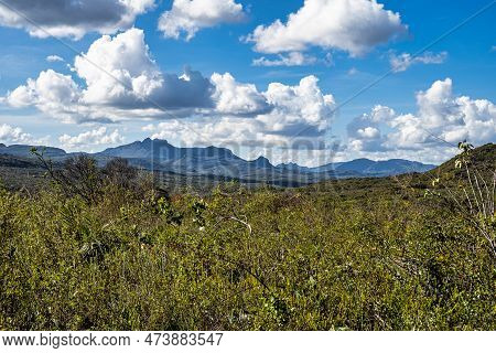 View Of The Sempre Viva Park At Mucuge In Chapada Diamantina, Bahia, Brazil. Home Of The Everlasting