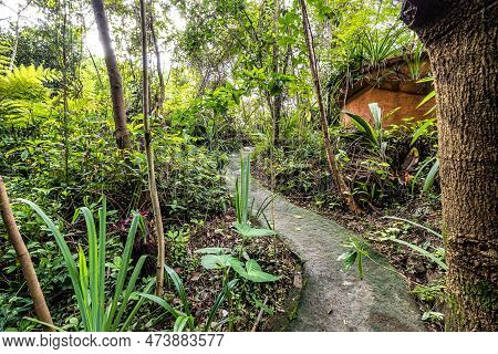 Lovely Garden Of A Guesthouse At Mucuge In The Chapada Diamantina National Park, Bahia In Brazil