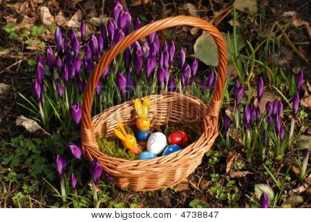 Easter Basket And Crocus