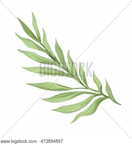 Tropical Or Extotic Flower Branch, Leaves Design