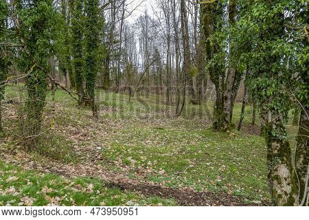 Scenery Showing A Historic Battlefield Around Verdun, Fought From 21 February To 18 December 1916 On
