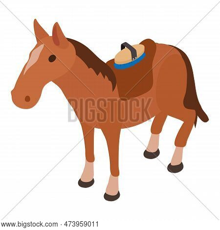 Equestrian Icon Isometric Vector. Standing Horse With Saddle And Grooming Brush. Equestrian Sport, H