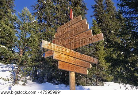 Wooden Sign Post With Directions For Cross-country Skiers To Destinations And Distances At The Peer 