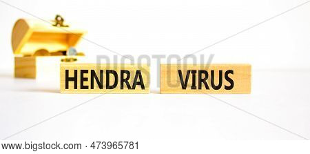 Hendra Virus Symbol. Concept Words Hendra Virus On Wooden Block. Beautiful White Table White Backgro