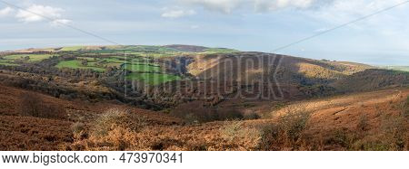 Panoramic Photo Of The Autumn Colours At Horner Woods In Exmoor National Park