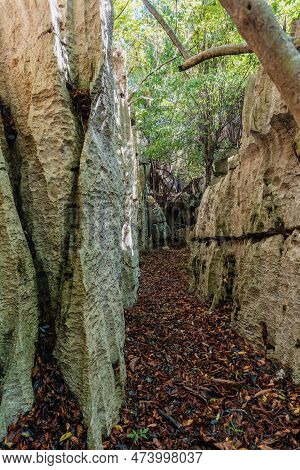 Narrow Path Between Rocks In Petit Tsingy De Bemaraha, Strict Nature Reserve Located Near The Wester