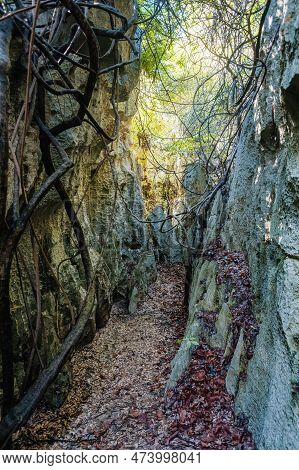 Narrow Path Between Rocks In Petit Tsingy De Bemaraha, Strict Nature Reserve Located Near The Wester