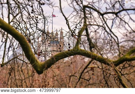 London, United Kingdom - March 6 2022: Branches Of A Tree In Saint James Or Green Park And View Of T
