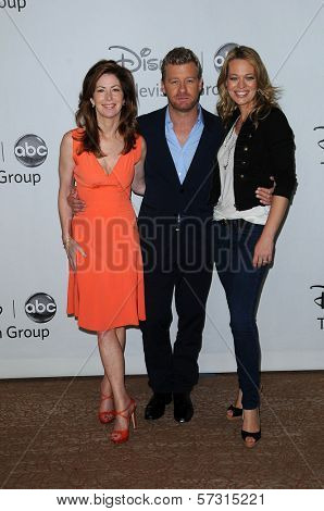 Dana Delany, Nicholas Bishop and Jeri Ryan  at the Disney ABC Television Group Summer 2010 Press Tour, Beverly Hilton Hotel, Beverly Hills, CA. 08-01-10