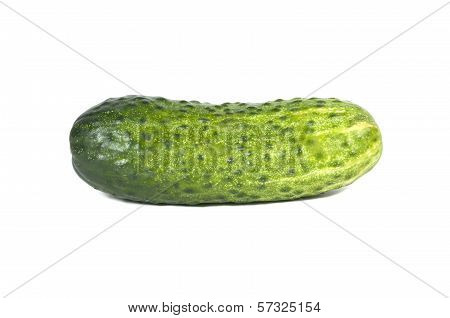 Cucumber On White Background