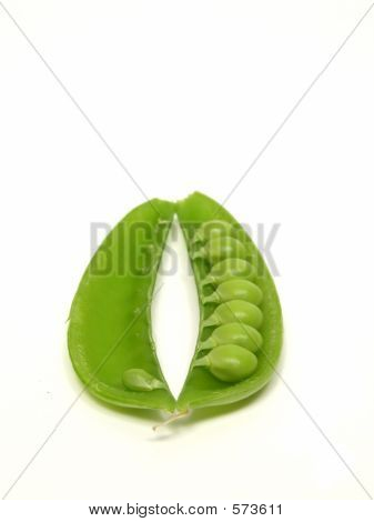 Geöffnete Erbse
