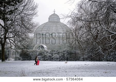 Sefton Park Palm House Winter