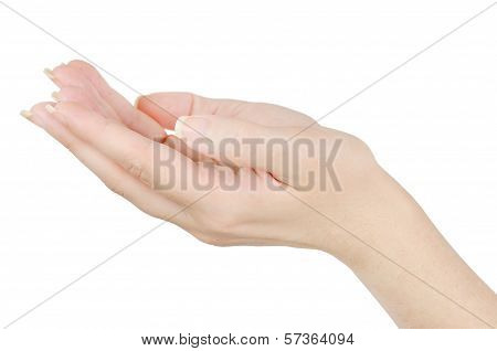 Cupped Hands