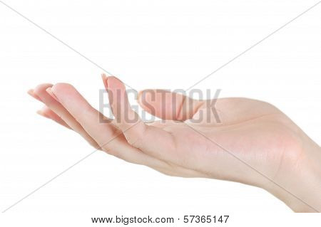 Open Hand