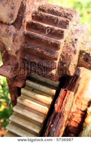 Gears Riemenscheibe Coq