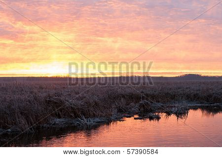 Marsh Sunrise