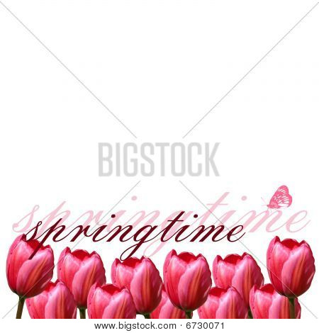 Spring2