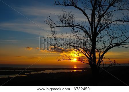 Autumn tree against the sunset