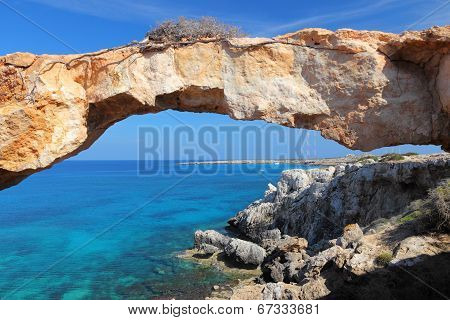 Cyprus Nature