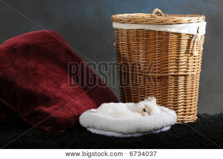 Kotek w rogu