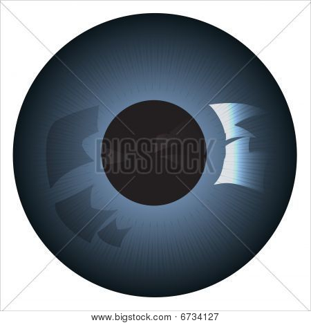 ilustrace modré izolované Iris