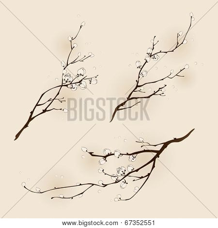 Buds of plum blossom with line design in three different compositions