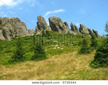 Rooster kam - Gutai bjerge Maramures Rumænien