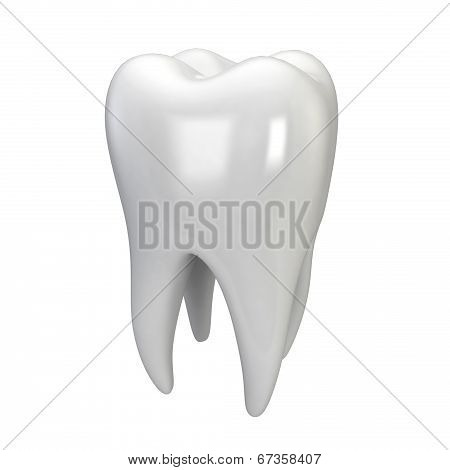 White Tooth