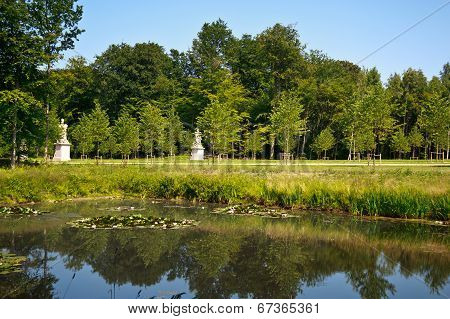 Pond In A Park
