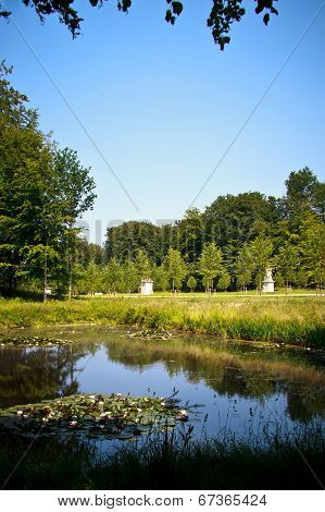 Pond In A Park