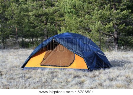 Tourist Tent In Forest