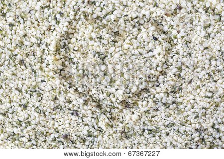 Processed hemp seeds commonly known as hemp hearts.