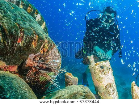 SCUBA Diver and Lionfish