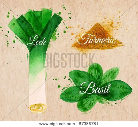 Spices herbs watercolor leeks, basil, turmeric kraft