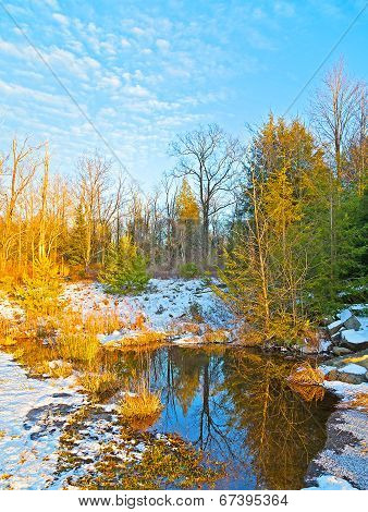 Icy pond in the woods at sunset.
