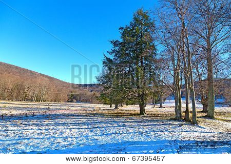 Sunset in the wintry forest on snow hills.