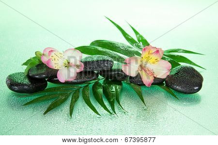 Flower of an alstroemeria and stones