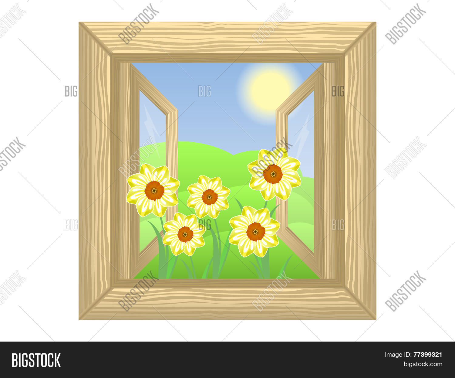 Image Preview