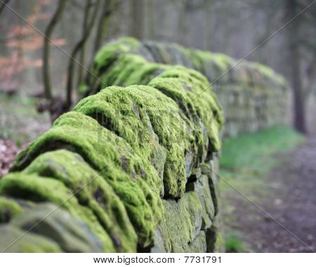 Pared de piedra seca