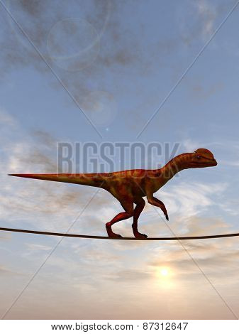 Concept or conceptual abstract business metaphor as wild heavy dinosaurus balancing on rope over sunset sky background