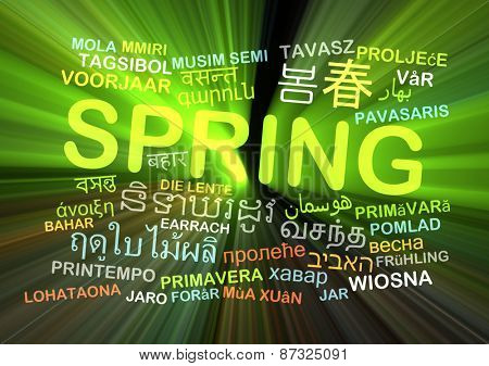 Background concept wordcloud multilanguage international many language illustration of translation spring glowing light