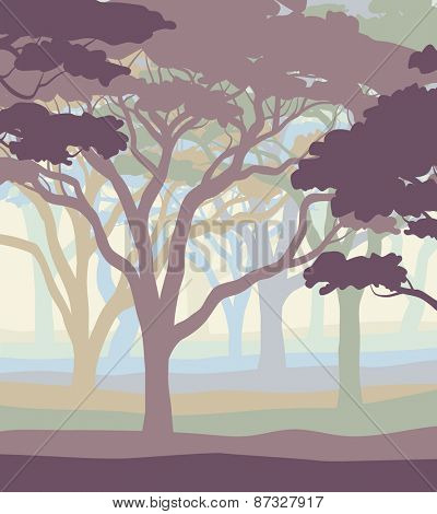 EPS8 editable vector illustration of an open acacia woodland in pastel colors