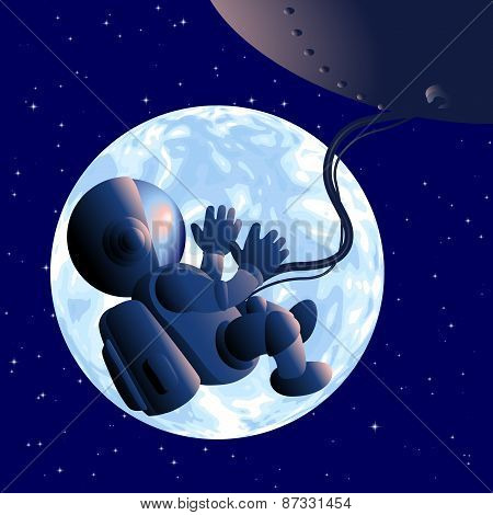 Fetus the universe