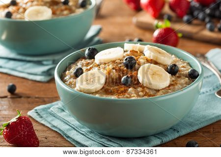 Homemade Healthy Steel Cut Oatmeal