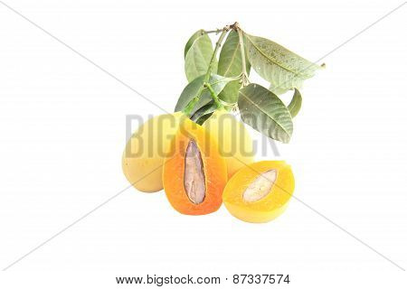 marian plum