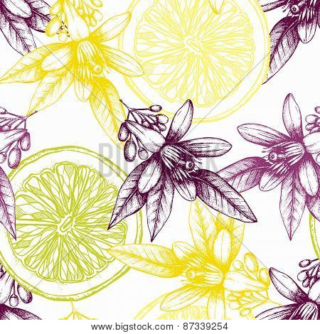 Vintage citrus background isolated on white