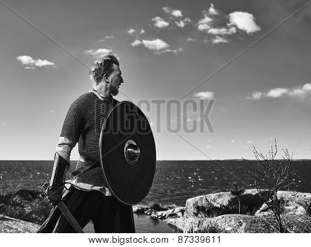 Viking Warrior