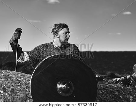 Viking Warrior